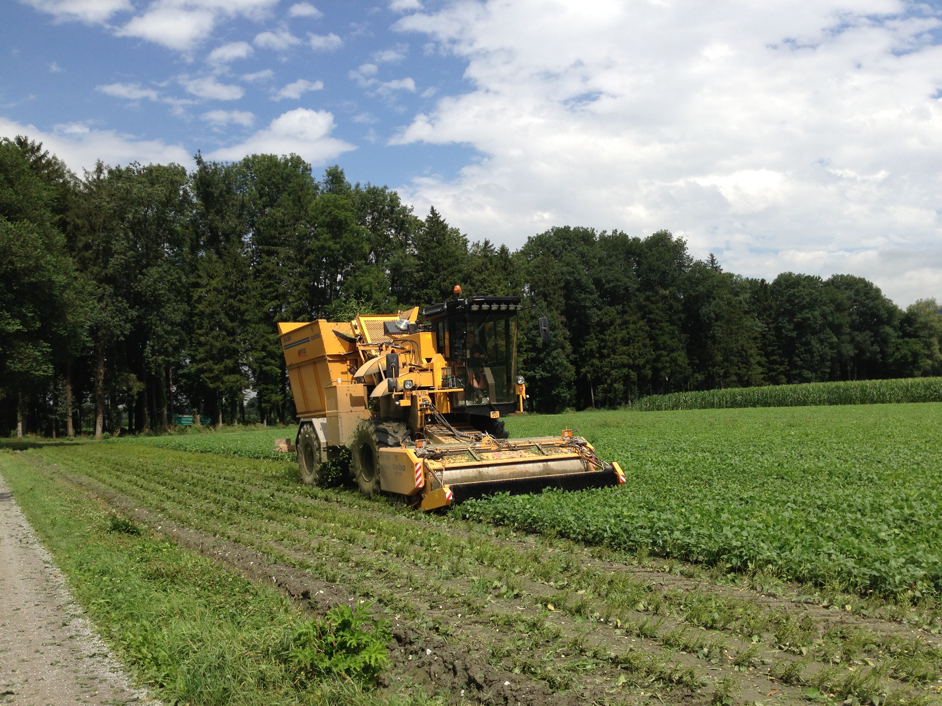 Produktion - FahrmaadhofFahrmaadhof