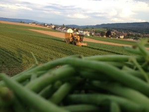 Produktion - FahrmaadhofFahrmaadhof