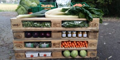 20201023_173043 20201023_173043