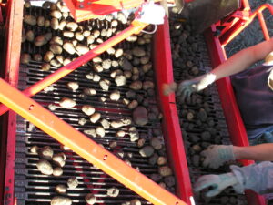 MINOLTA DIGITAL CAMERA