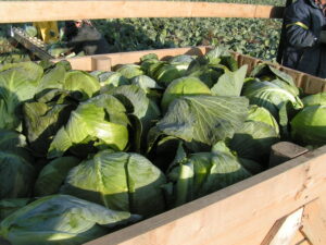 MINOLTA DIGITAL CAMERA