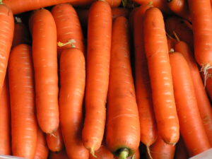 MINOLTA DIGITAL CAMERA