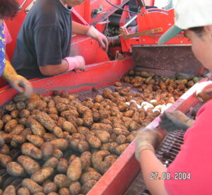 MINOLTA DIGITAL CAMERA