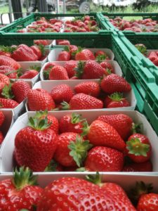 WhatsApp Image 2019-08-09 at 16.57.14