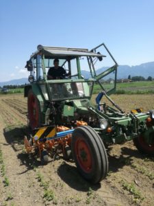 mechanische Unkrautbekämpfung_Kabis