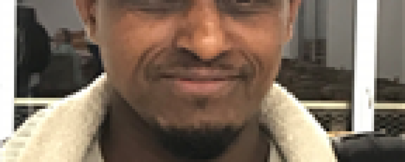Merhawi Gebrealfa